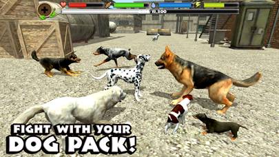 Stray Dog Simulator Скриншот приложения #2