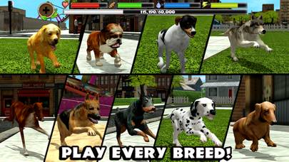 Stray Dog Simulator Скриншот приложения #3