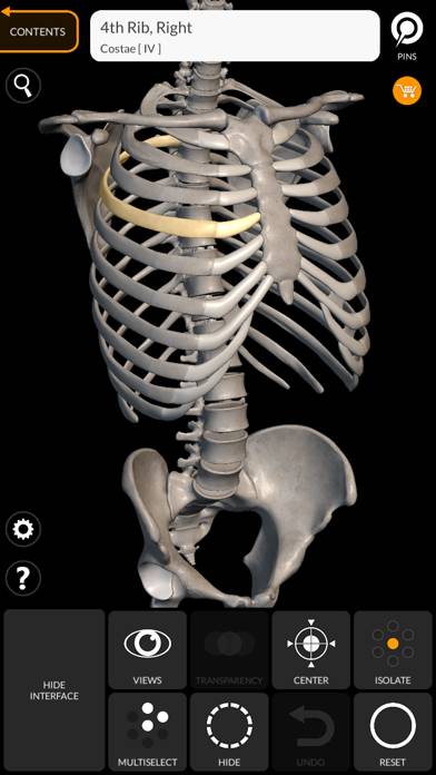 Skeleton 3D Anatomy Schermata dell'app #2