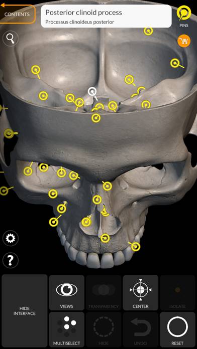 Skeleton 3D Anatomy Schermata dell'app #4