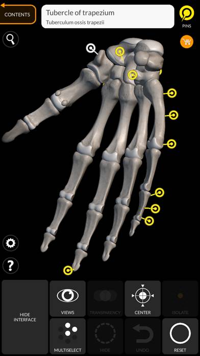 Skeleton 3D Anatomy App screenshot #5
