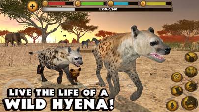 Hyena Simulator App screenshot #1