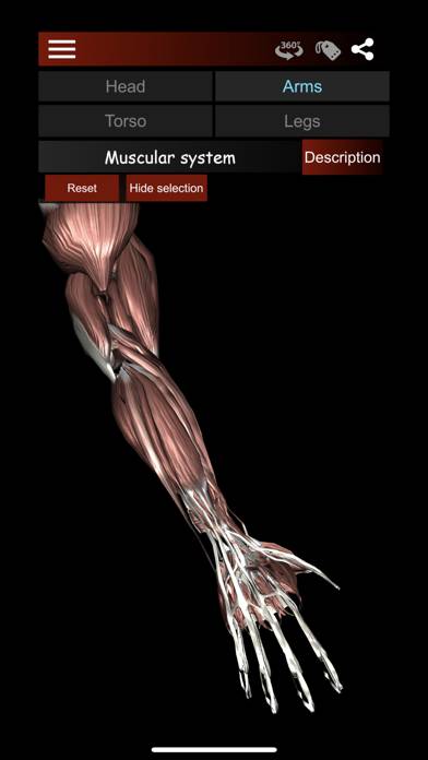 Muscular System 3D (anatomy) Captura de pantalla de la aplicación #1