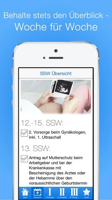 Checklisten für Schwangere PRO App-Screenshot #1