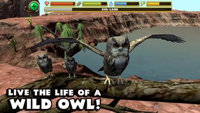 Owl Simulator Schermata dell'app #1