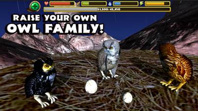 Owl Simulator App screenshot #3