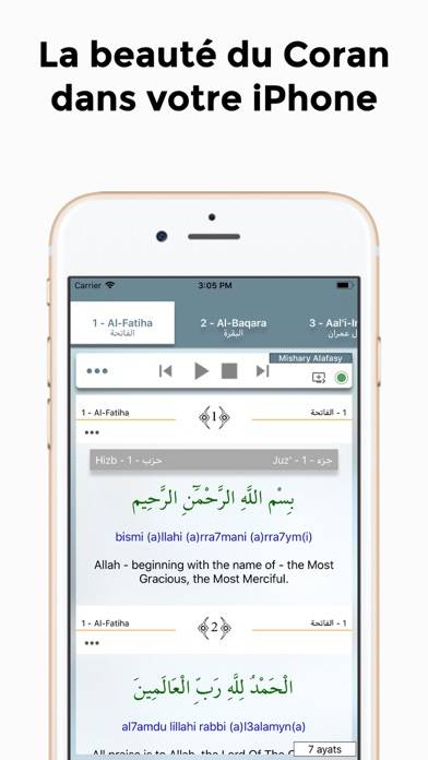 Islam Pro Quran Capture d'écran de l'application #2
