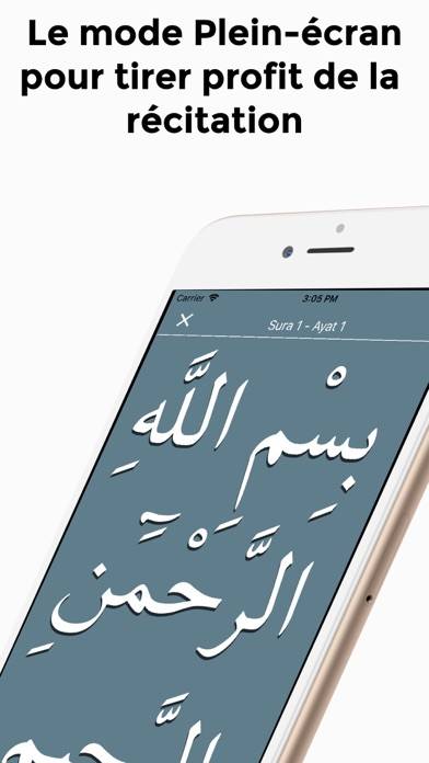 Islam Pro Quran Capture d'écran de l'application #5