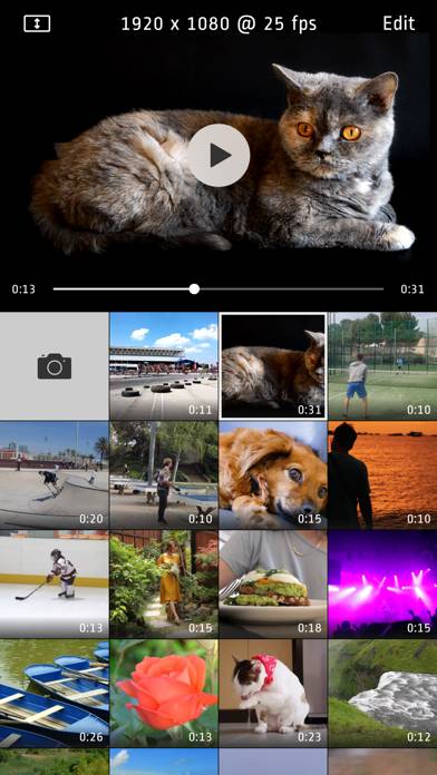 Video Zoom! Schermata dell'app