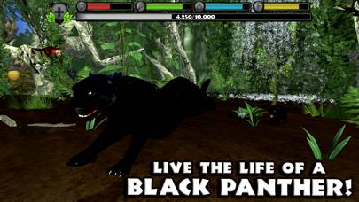 Panther Simulator Captura de pantalla de la aplicación #1
