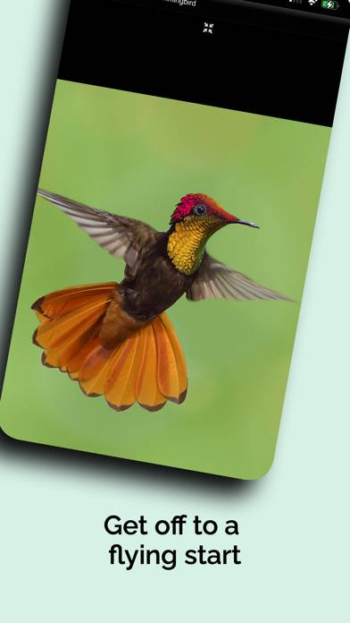 Natural History Museum 4 Ever Captura de pantalla de la aplicación