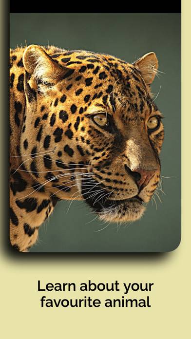 Natural History Museum 4 Ever Captura de pantalla de la aplicación