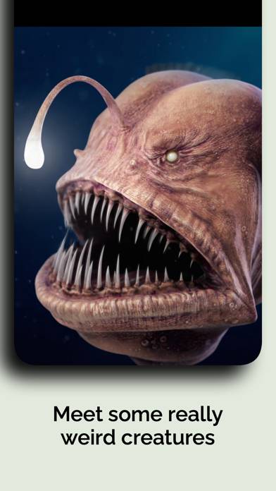 Natural History Museum 4 Ever Captura de pantalla de la aplicación