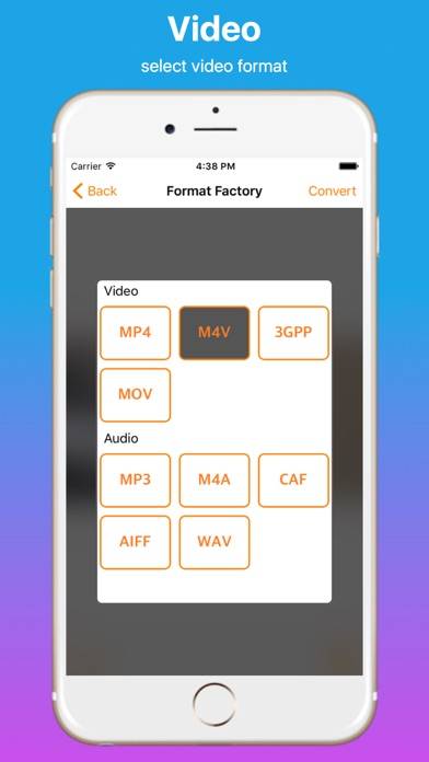 Video Format Factory Pro App screenshot #2
