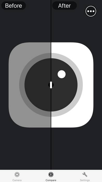 OnionSkinCapture Captura de pantalla de la aplicación