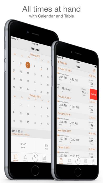Working Hours Diary Pro App screenshot #2