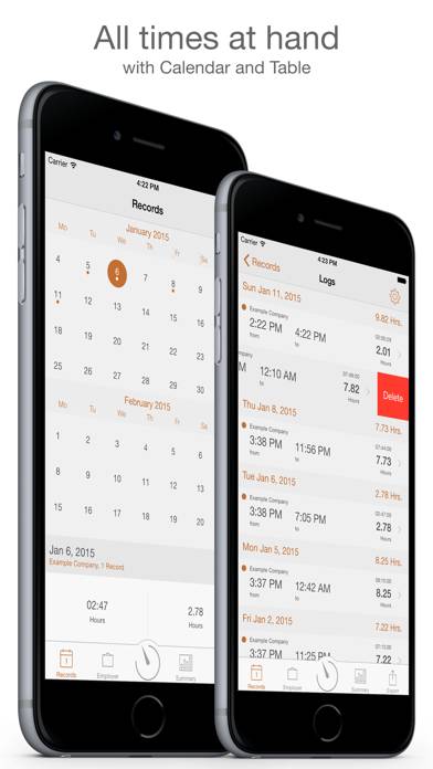 Working Hours Diary Pro App screenshot