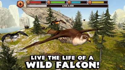 Falcon Simulator App screenshot #1