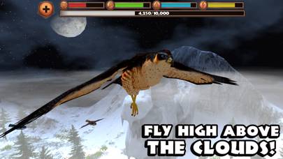 Falcon Simulator App screenshot #2