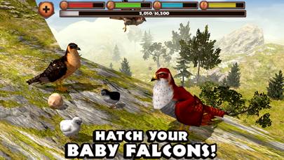 Falcon Simulator App screenshot #5