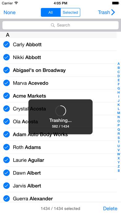 Spring Cleaning 2 App screenshot