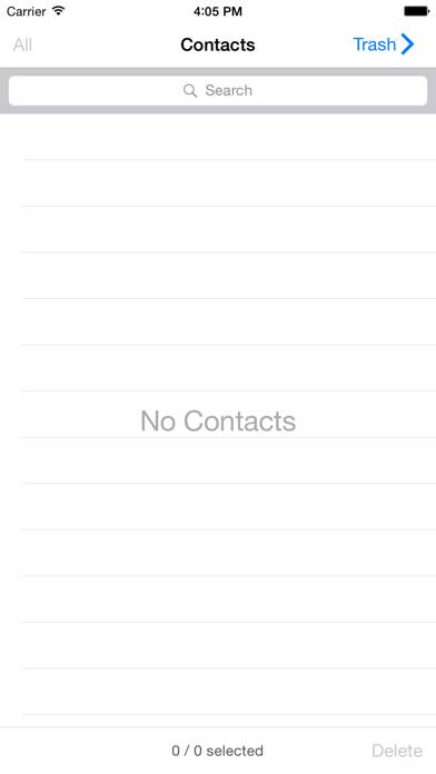 Spring Cleaning 2 App screenshot
