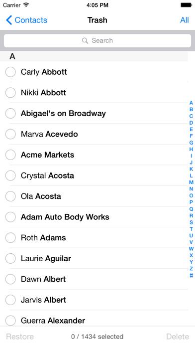 Spring Cleaning 2 App screenshot