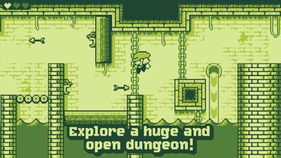 Tiny Dangerous Dungeons Скриншот приложения #2