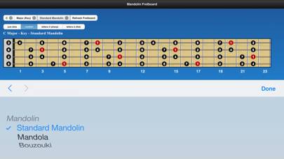 Mandolin Chords and Scales App skärmdump #5