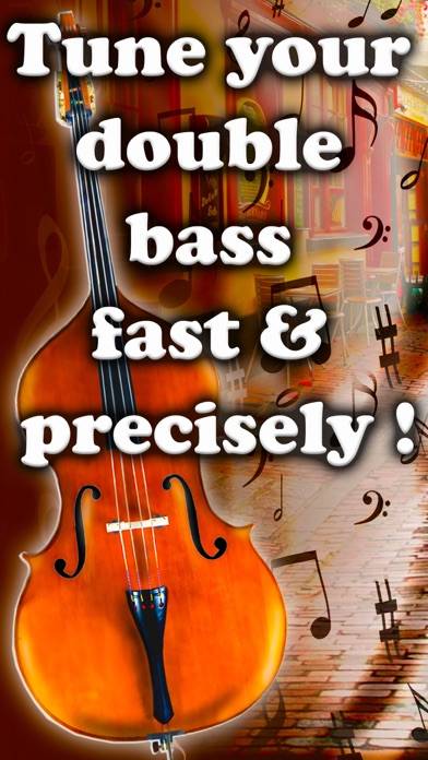 Easy Double Bass Tuner App skärmdump #1