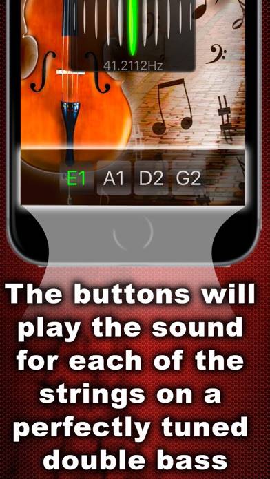 Easy Double Bass Tuner App skärmdump #3