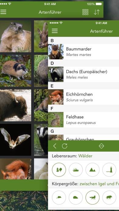 Wild Animals and Traces PRO App screenshot #2