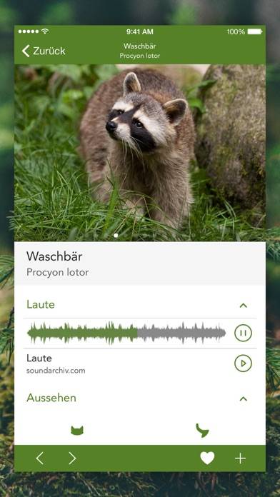 Wild Animals and Traces PRO App screenshot #3