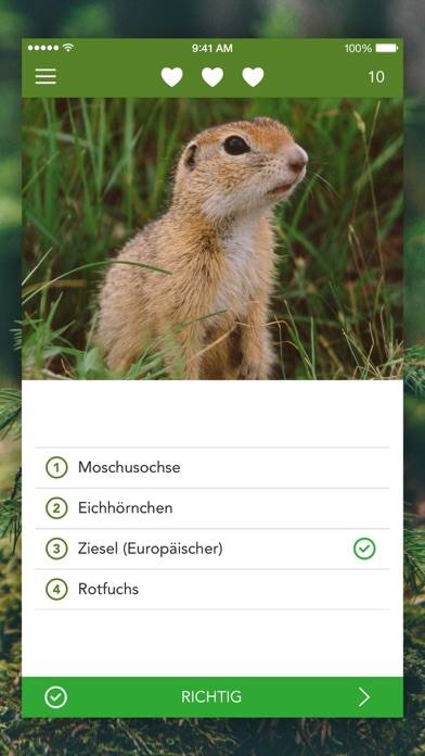 Wild Animals and Traces PRO App-Screenshot #4
