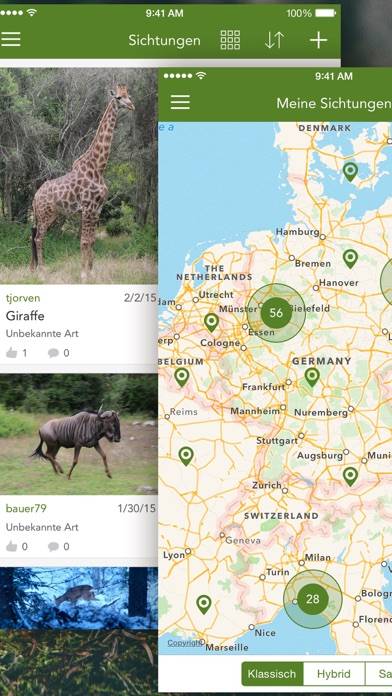 Wild Animals and Traces PRO App screenshot #5