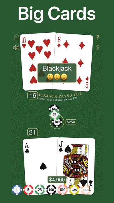 Blackjack Uygulama ekran görüntüsü #1