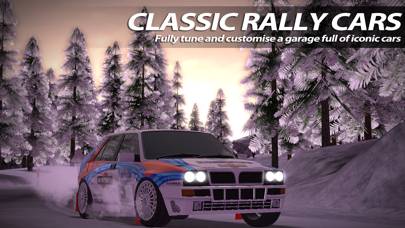Rush Rally 2 App-Screenshot #4