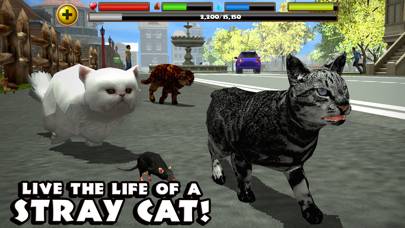 Stray Cat Simulator Schermata dell'app #1