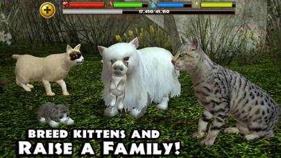 Stray Cat Simulator App screenshot #2