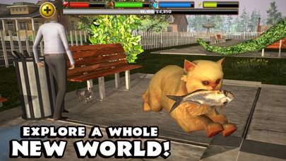 Stray Cat Simulator App-Screenshot #5