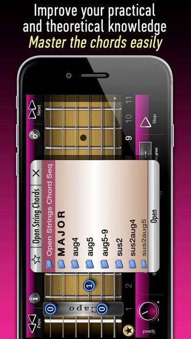 Open String Guitar Chords Bildschirmfoto