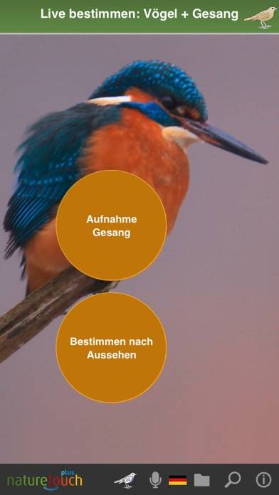 Identify live bird songs App screenshot #1