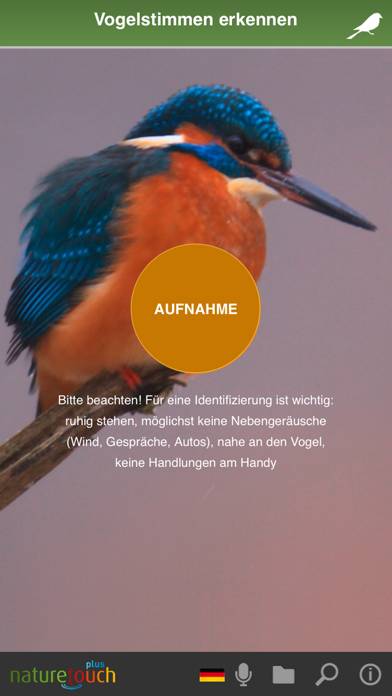 Identify live bird songs App screenshot #2