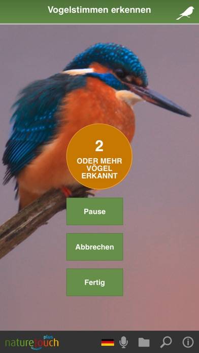 Identify live bird songs App screenshot #3