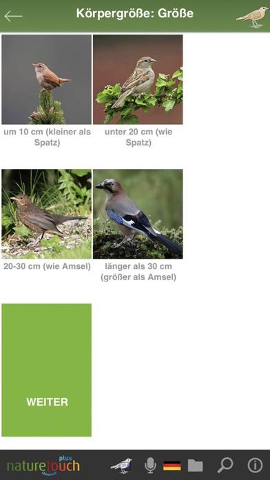 Identify live bird songs App screenshot #5