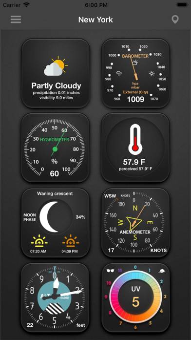 The Weather Station Capture d'écran de l'application #1