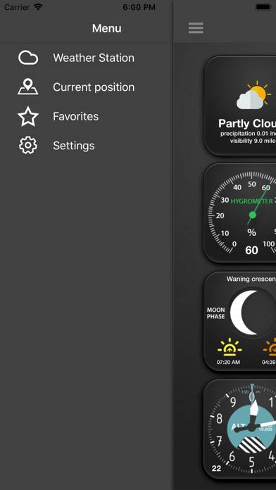The Weather Station Captura de pantalla de la aplicación #2