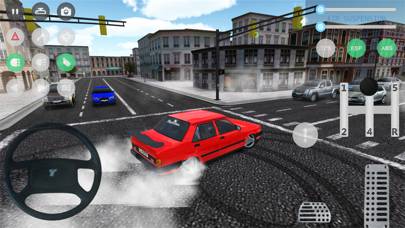 Car Parking and Driving Sim screenshot