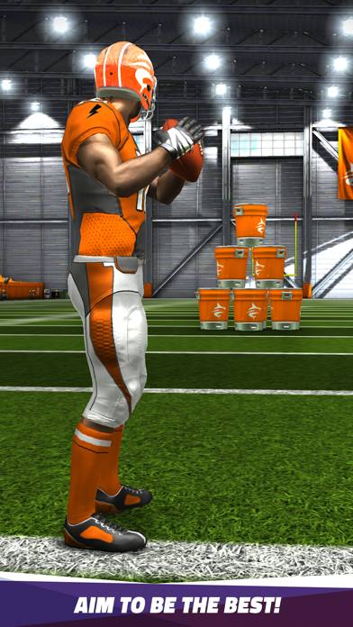 Flick Quarterback 24 game screenshot