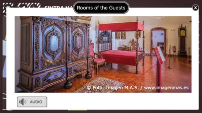 National Palace of Sintra Capture d'écran de l'application #3